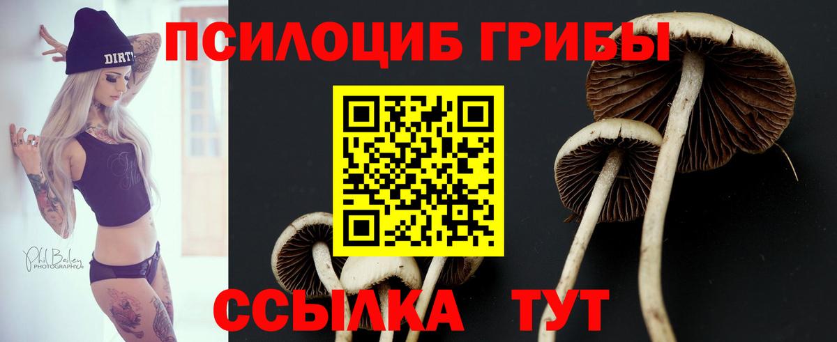 Галлюциногенные грибы Psilocybine cubensis  Вход с VPN  Павлово 